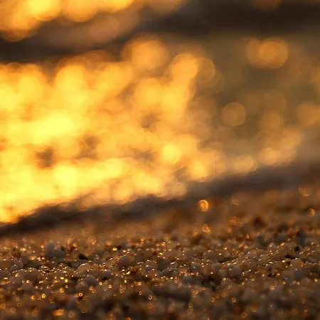 Vendégház Domo All'antico Borgo