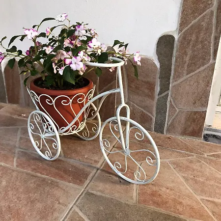 Domo All'antico Borgo Gasthuis