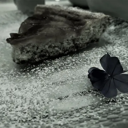 Gasthuis Domo All'antico Borgo