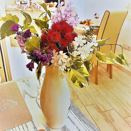 Domo All'antico Borgo 3* Oristano