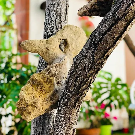 Domo All'antico Borgo 3* Oristano