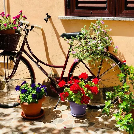 Domo All'antico Borgo 2* Oristano