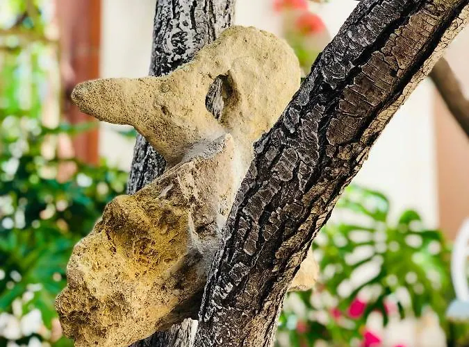 All'antico Borgo 3* Oristano